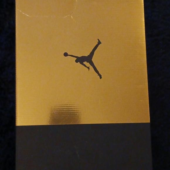 Air Jordan 6 Retro DMP SZ 7.5 - Picture 8 of 10